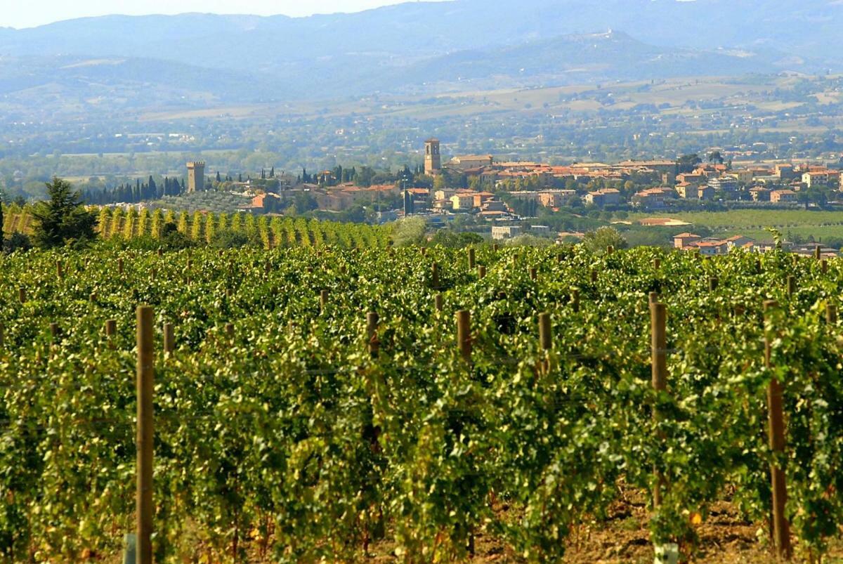 Agriturismo Wine Casale Villa Chiara Torgiano Dış mekan fotoğraf