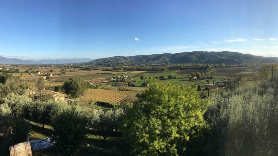 Agriturismo Wine Casale Villa Chiara Torgiano Dış mekan fotoğraf