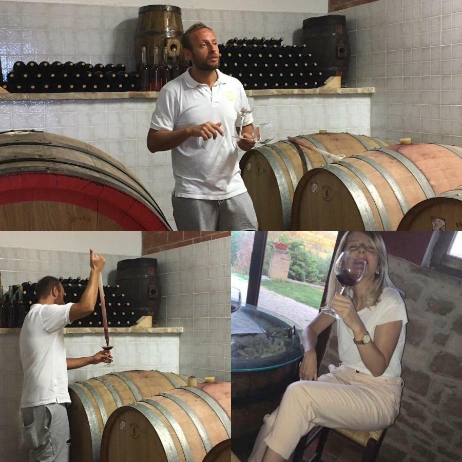 Agriturismo Wine Casale Villa Chiara Torgiano Dış mekan fotoğraf